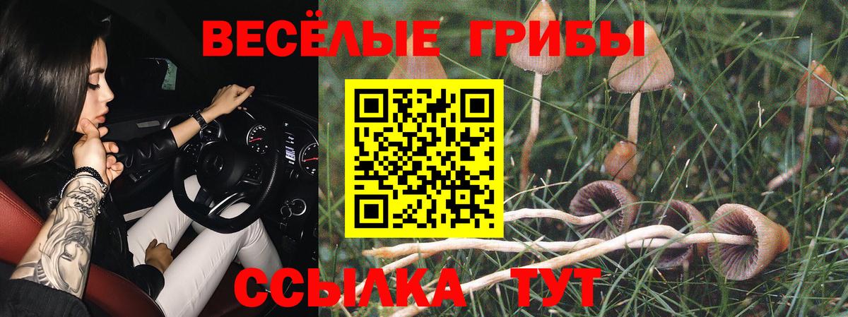 Галлюциногенные грибы ЛСД  Вход с VPN  Находка 